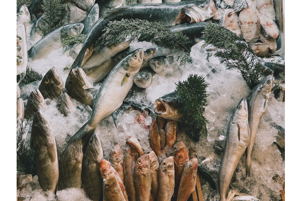 Glace alimentaire et chaîne du froid : rôle et avantages