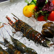 Glace Ecaille Barques